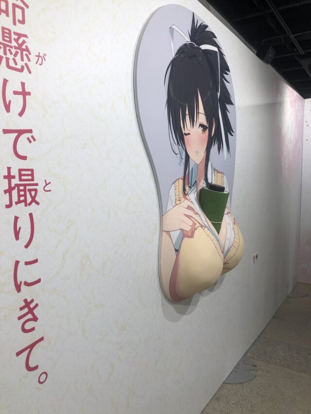 【画像】閃乱カグラのとてつもないでかさのおっぱいマウスパッドww